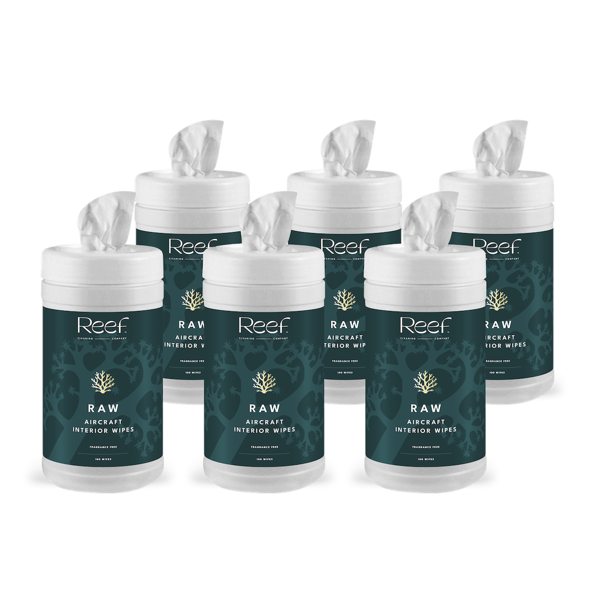 RAW - Reef’s Aircraft Interior Wipes